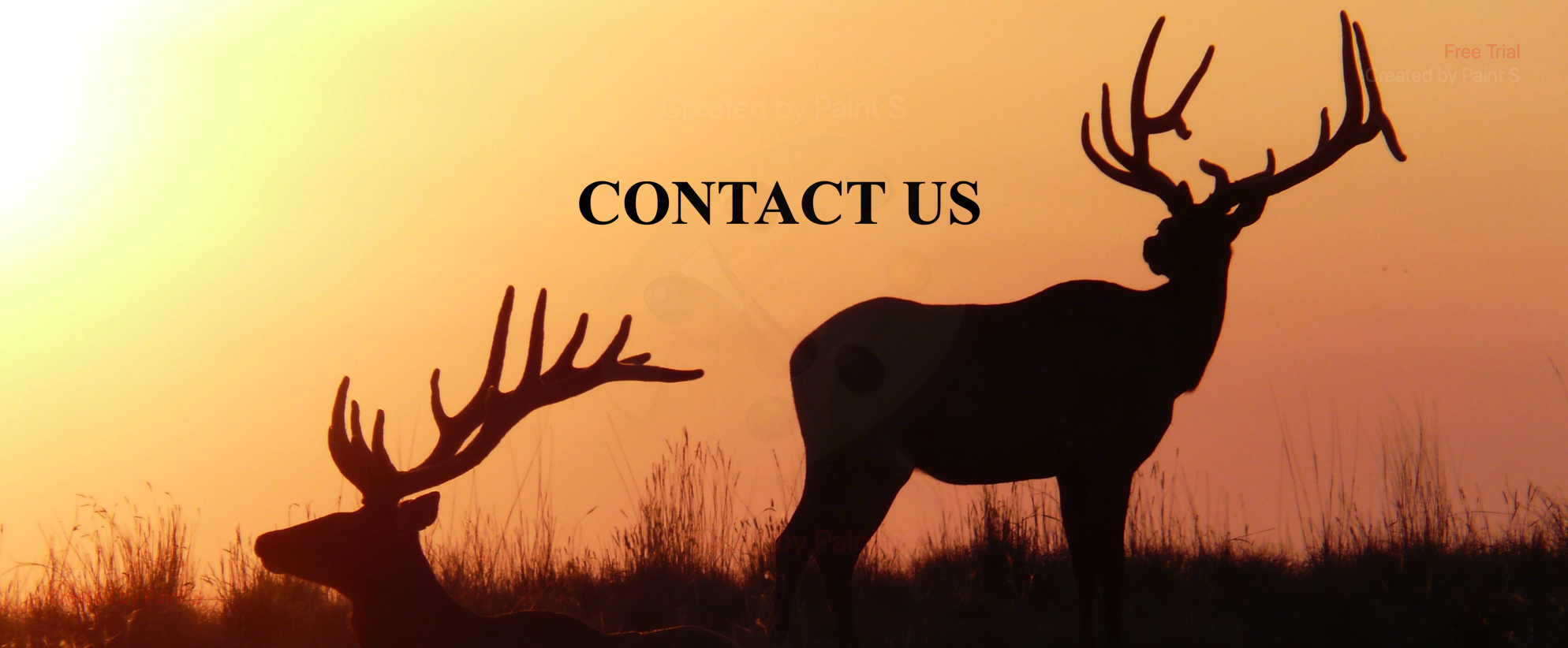 contact